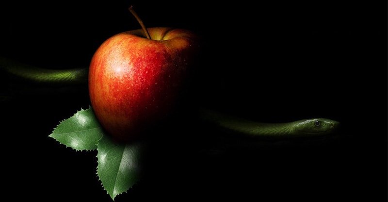 4 Advertising Cardinal Sins That Might Value Your Enterprise Cash